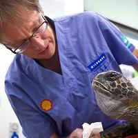 Professor Brett Gartrell staff profile picture