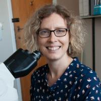 Professor Keren Dittmer staff profile picture