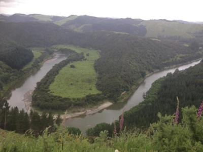 Decolonising management practices in non-Indigenous organisations